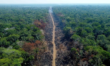 A deforested area on a stretch of the BR-230 (Transamazonian highway) in HumaitÃ¡, Amazonas State, Brazil.